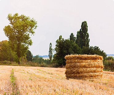Haber Görseli